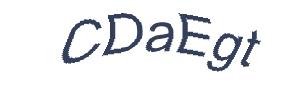 عبارت امنیتی