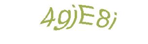 عبارت امنیتی