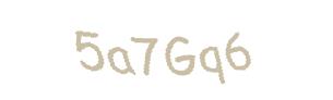 عبارت امنیتی