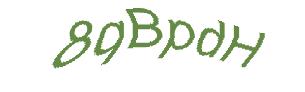 عبارت امنیتی