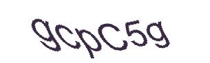 عبارت امنیتی