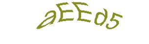 عبارت امنیتی