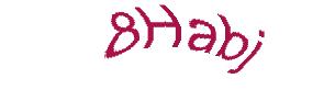 عبارت امنیتی