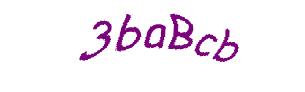 عبارت امنیتی