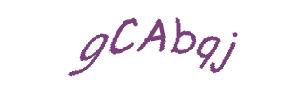 عبارت امنیتی