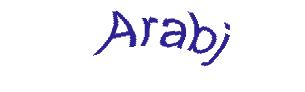 عبارت امنیتی