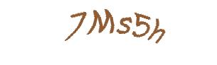 عبارت امنیتی