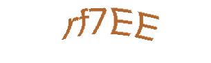 عبارت امنیتی