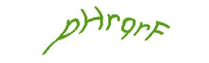 عبارت امنیتی