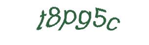 عبارت امنیتی