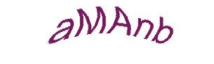عبارت امنیتی