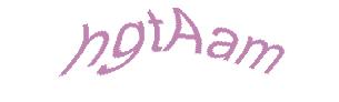 عبارت امنیتی