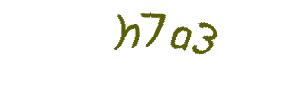 عبارت امنیتی