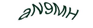 عبارت امنیتی