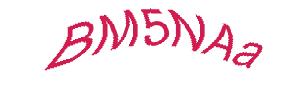 عبارت امنیتی