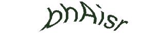 عبارت امنیتی