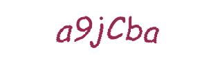 عبارت امنیتی