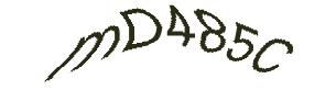 عبارت امنیتی
