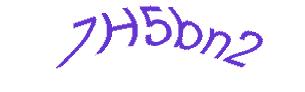 عبارت امنیتی