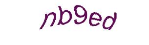 عبارت امنیتی