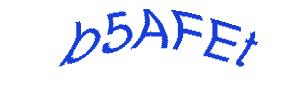 عبارت امنیتی
