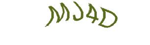 عبارت امنیتی