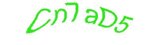 عبارت امنیتی