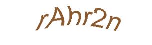 عبارت امنیتی