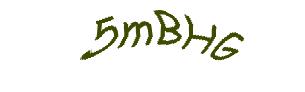 عبارت امنیتی