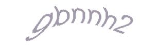 عبارت امنیتی
