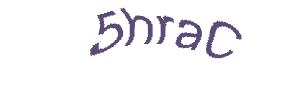 عبارت امنیتی