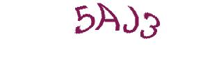 عبارت امنیتی
