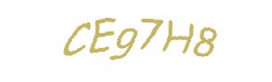 عبارت امنیتی