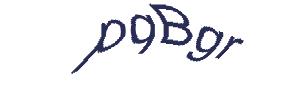 عبارت امنیتی