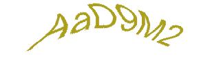 عبارت امنیتی