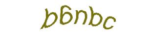 عبارت امنیتی