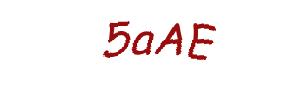عبارت امنیتی