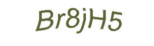 عبارت امنیتی