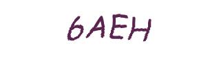 عبارت امنیتی