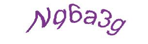 عبارت امنیتی
