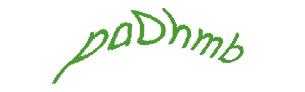 عبارت امنیتی