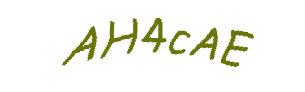 عبارت امنیتی