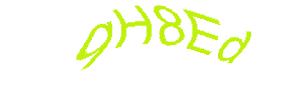 عبارت امنیتی