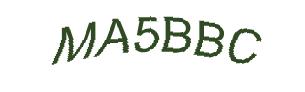 عبارت امنیتی