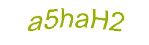 عبارت امنیتی