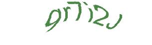 عبارت امنیتی