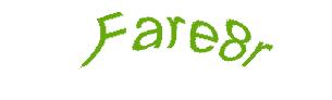 عبارت امنیتی
