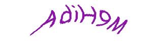 عبارت امنیتی