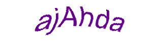 عبارت امنیتی