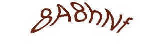 عبارت امنیتی